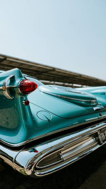 Teal tailfin